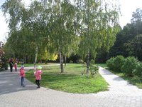 315057_original.jpg
