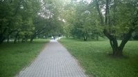 IMG-20170911-WA0019.jpg