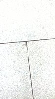 WP_20170912_11_51_05_Pro.jpg