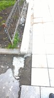 WP_20170912_11_48_46_Pro.jpg