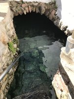 IMG_4583.JPG