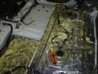 DSC03407.jpg