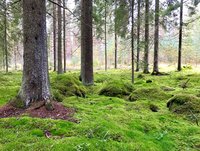 IMG_8516.JPG