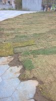 WP_20170919_13_48_55_Pro.jpg