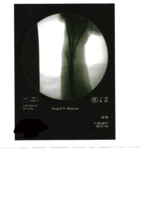 742CD04A-AE09-43FF-9B93-36FCB95D3713.png