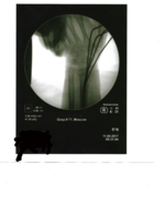 AFA0186C-C9BC-4647-B999-76DAF3B3A8D2.png