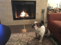 IMG_0137.JPG