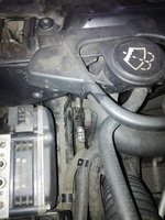 IMG_20171005_173319.jpg