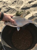 IMG_3840.JPG