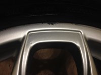IMG_1551.jpg