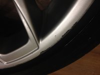 IMG_1552.jpg