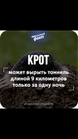 544A4A0F-E260-4CF2-A3BD-B193A67C0ED0.png