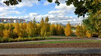 IMG_20171008_143144_HDR.jpg