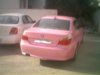 pink3.JPG