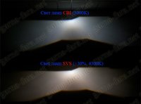 Light_comparison_from_standard-SVS-CBI_bulbs.jpg