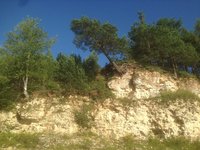 IMG_3117.JPG