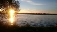 IMG_3146.JPG