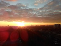 IMG_20171113_081711.jpg