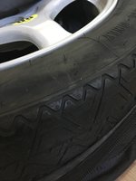 IMG_5139.JPG