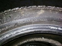 3922056153.jpg