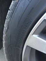 IMG_6761-24-11-17-01-33.JPG