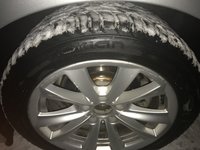 IMG_8025.JPG