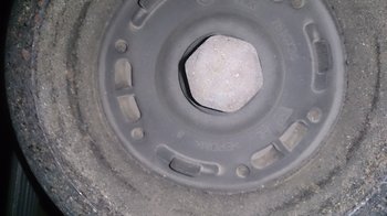 DSC_4341.JPG