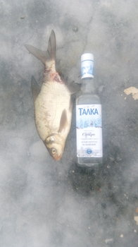 IMG-20171215-WA0004.jpeg