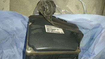 DSC_0125.JPG