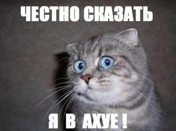 image.jpeg