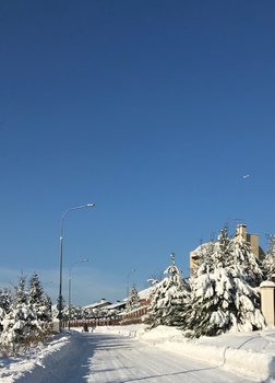 81CA4951-69AE-486E-B7BA-416B4A1A9C7D.jpeg