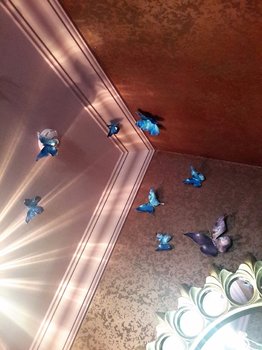 IMG-20180219-WA0014.jpg