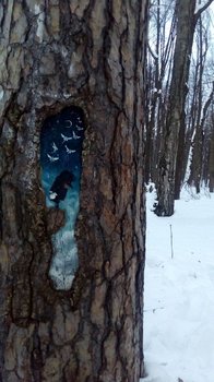 IMG-20180223-WA0018.jpg