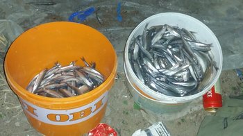 20170515_010614.jpg