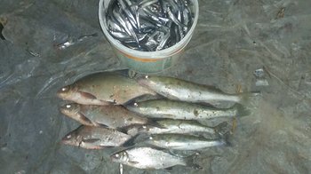 20170515_030717.jpg
