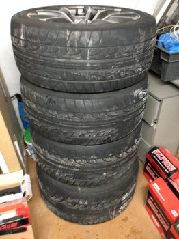 IMG_7726-17-03-18-04-13.JPG
