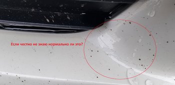 20180331_110012.jpg