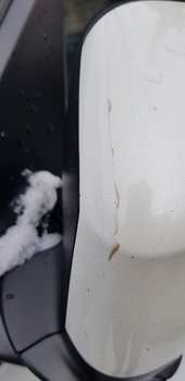 20180331_110048.jpg