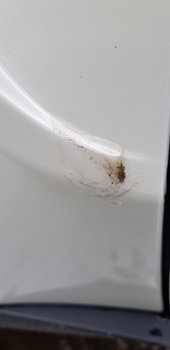 20180331_110239.jpg