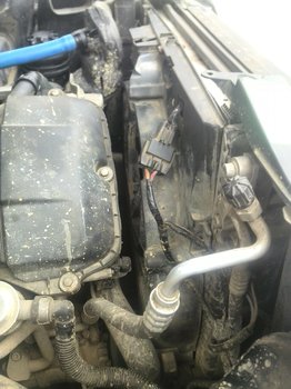 IMG_20180403_172830.jpg