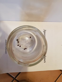 20180410_175136.jpg
