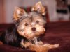 DSC09313.JPG