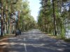 DSC02128.jpg