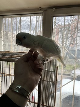 IMG_3667.jpg