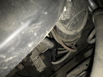 C2F4095E-2260-40A9-902B-C0AF20AE1615.jpeg