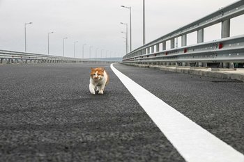 7380D569-3D0D-423C-8C26-CC695D2676BC.jpeg