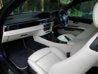 Platinum extended leather - 11.jpg