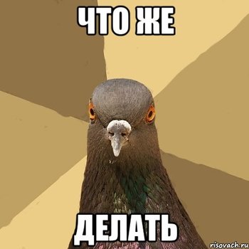 golub_27099164_orig_[1].jpg