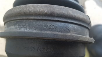 20180627_113604.jpg