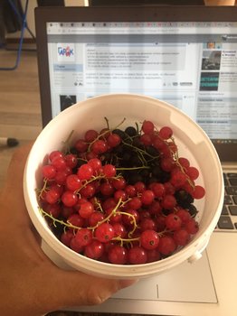 image.jpeg